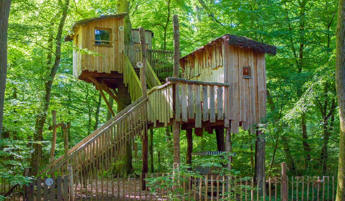 Les cabanes dans les arbres